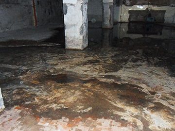 Delaware Water Proofing